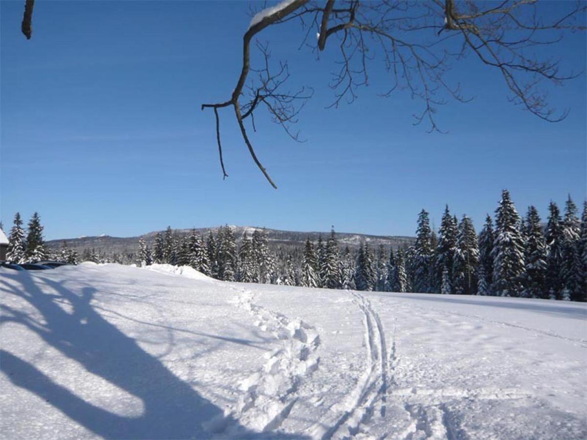 Hotel Perla Jizery Josefŭv Dŭl Exteriör bild